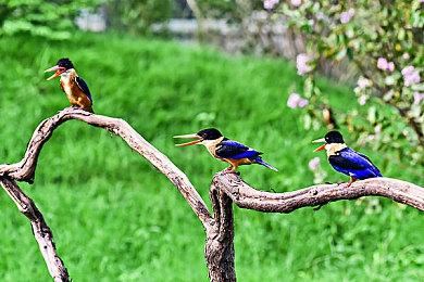 Xbox 2021年科隆游戏展发布会敲定：8月25日凌晨1点