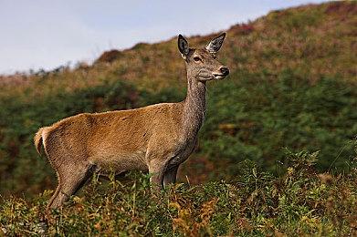 《消逝的光芒2》开场23分钟实机演示视频欣赏