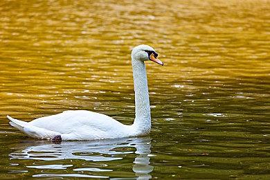 索尼首席系统架构师确认PS6继续与AMD合作